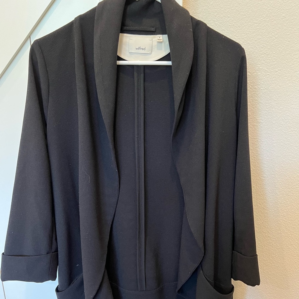 Aritzia Wilfred blazer